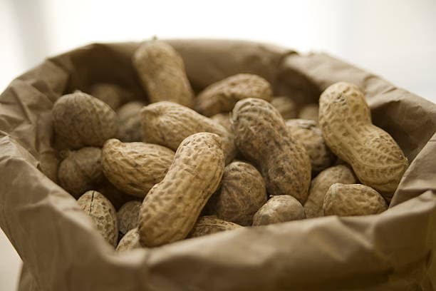 Shea Nuts