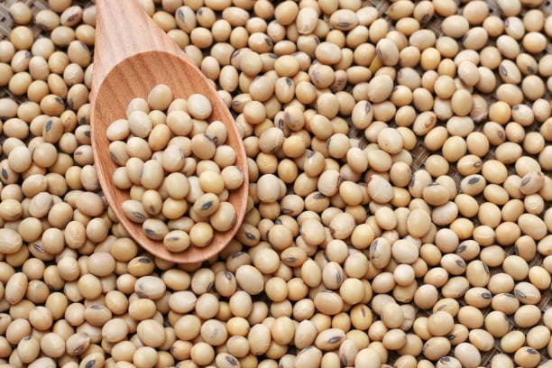 Soya Beans